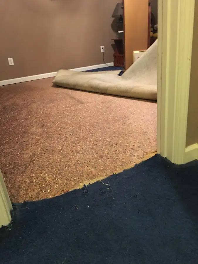 Carpet pad removal revealing water damage during Water Mitigation Services in Roxborough Park