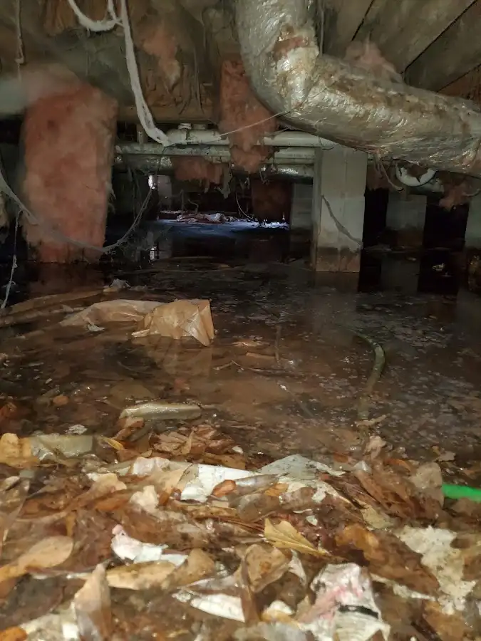 Crawl space flood assessment for Commercial Water Damage Restoration in Roxborough Park